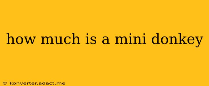 how much is a mini donkey