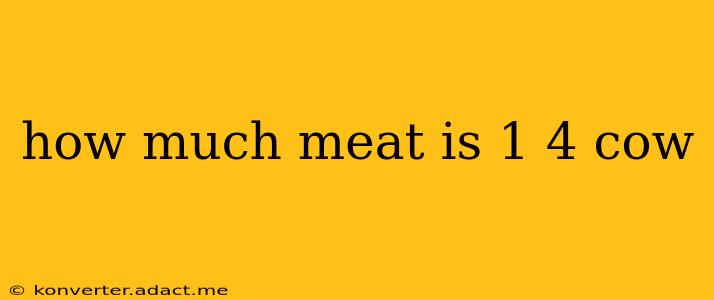 how much meat is 1 4 cow