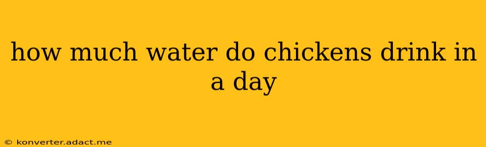how much water do chickens drink in a day