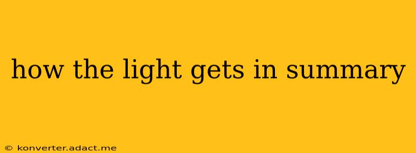 how the light gets in summary