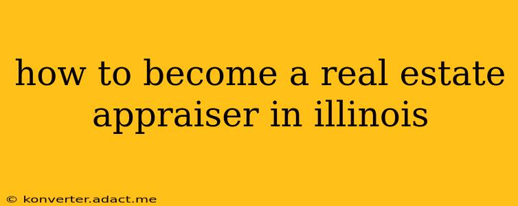 how to become a real estate appraiser in illinois