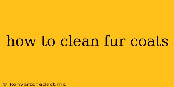 how to clean fur coats