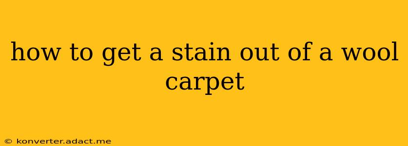 how to get a stain out of a wool carpet