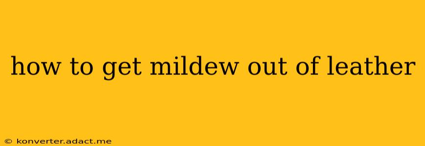 how to get mildew out of leather