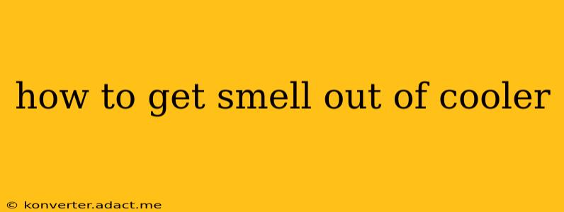 how to get smell out of cooler