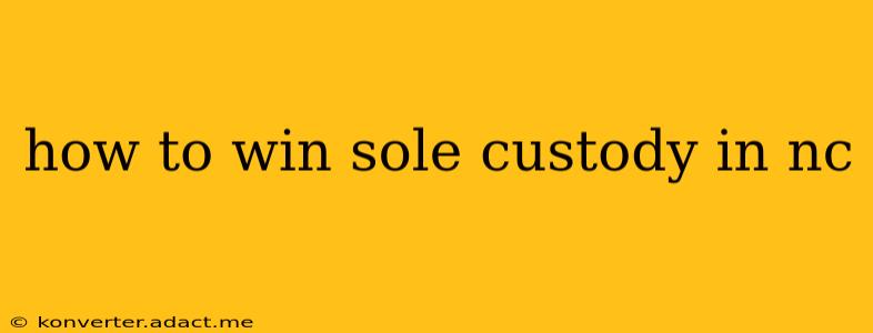 how to win sole custody in nc