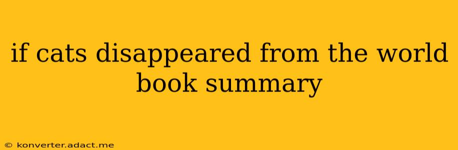 if cats disappeared from the world book summary