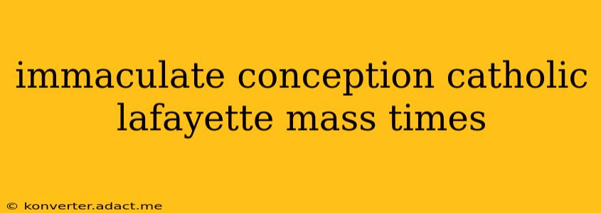 immaculate conception catholic lafayette mass times