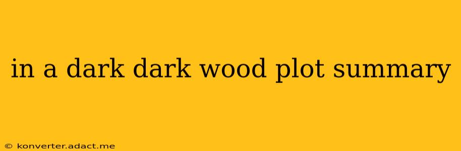 in a dark dark wood plot summary