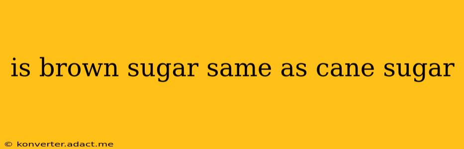 is brown sugar same as cane sugar