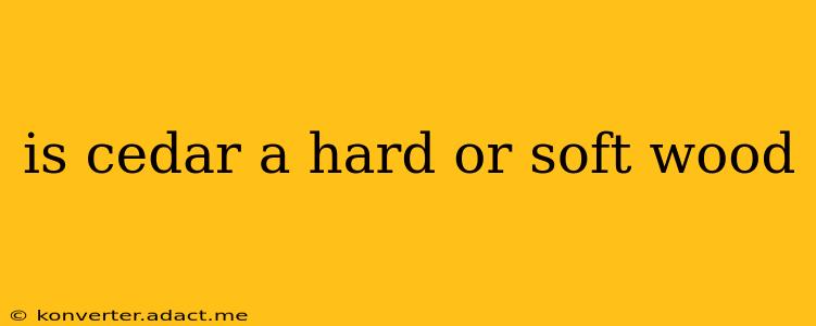 is cedar a hard or soft wood