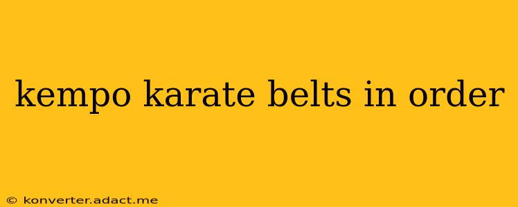 kempo karate belts in order
