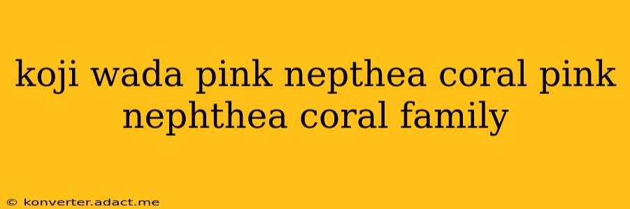 koji wada pink nepthea coral pink nephthea coral family