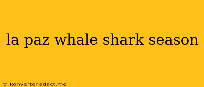 la paz whale shark season