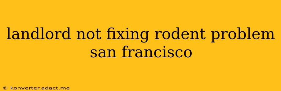 landlord not fixing rodent problem san francisco