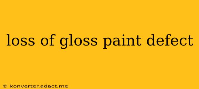 loss of gloss paint defect