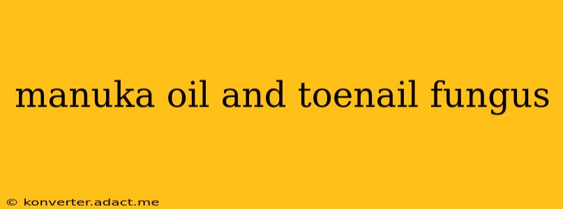 manuka oil and toenail fungus