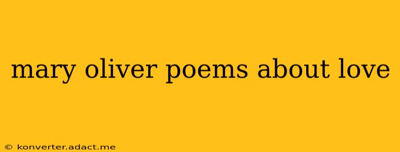 mary oliver poems about love
