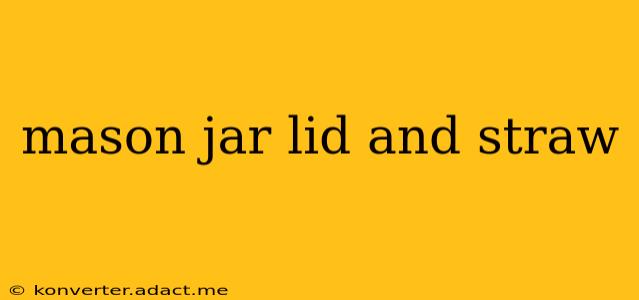 mason jar lid and straw