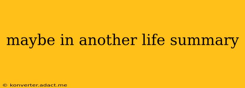 maybe in another life summary