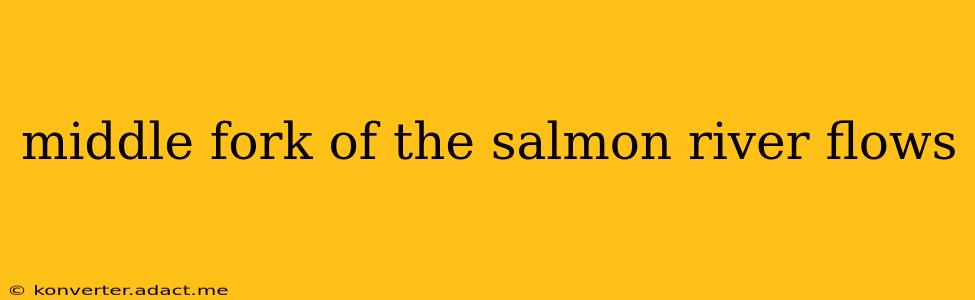 middle fork of the salmon river flows