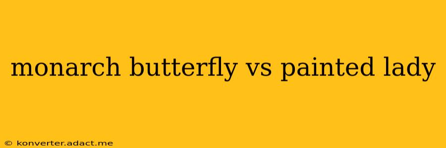 monarch butterfly vs painted lady