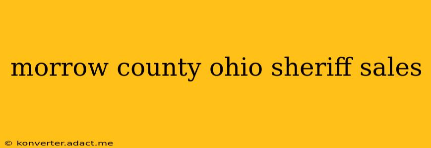 morrow county ohio sheriff sales