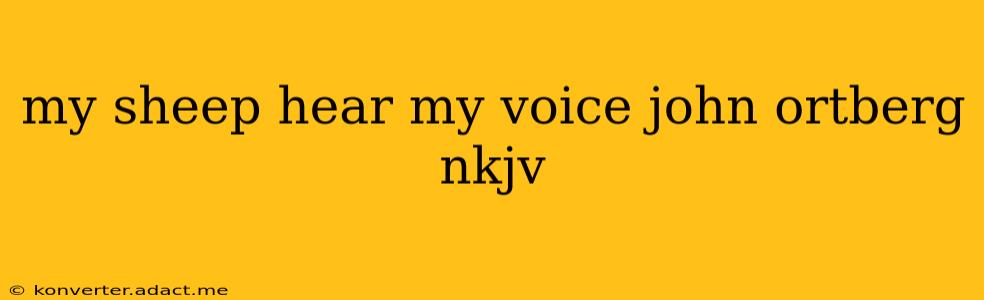 my sheep hear my voice john ortberg nkjv