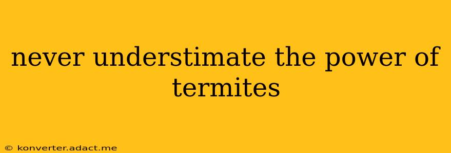 never understimate the power of termites