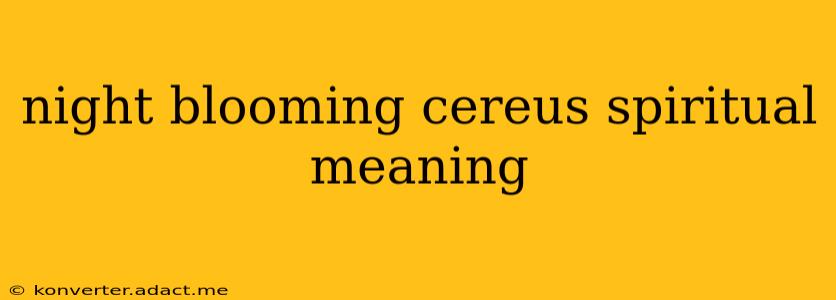 night blooming cereus spiritual meaning