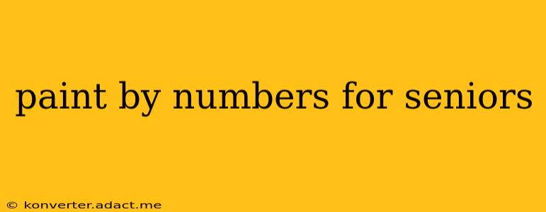 paint by numbers for seniors