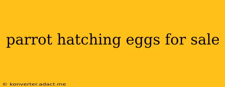 parrot hatching eggs for sale