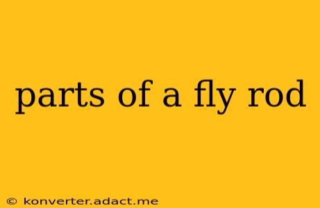 parts of a fly rod