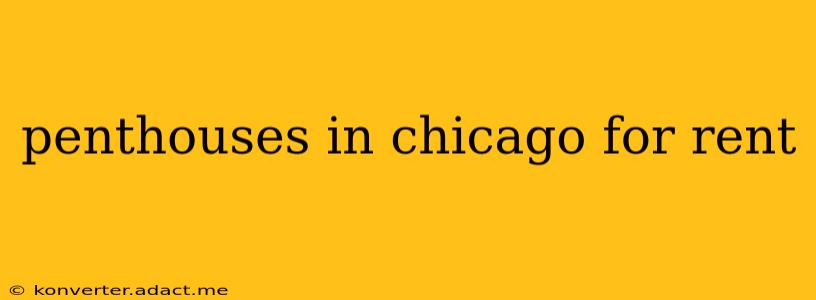 penthouses in chicago for rent