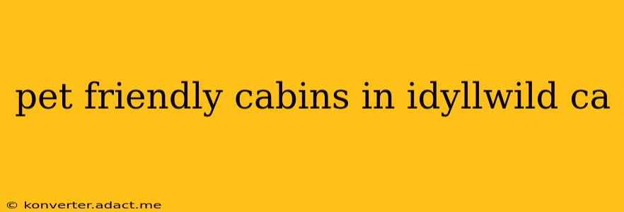 pet friendly cabins in idyllwild ca