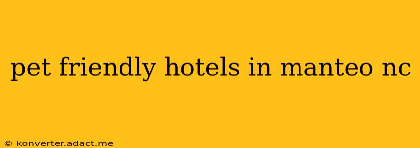 pet friendly hotels in manteo nc