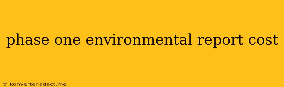 phase one environmental report cost