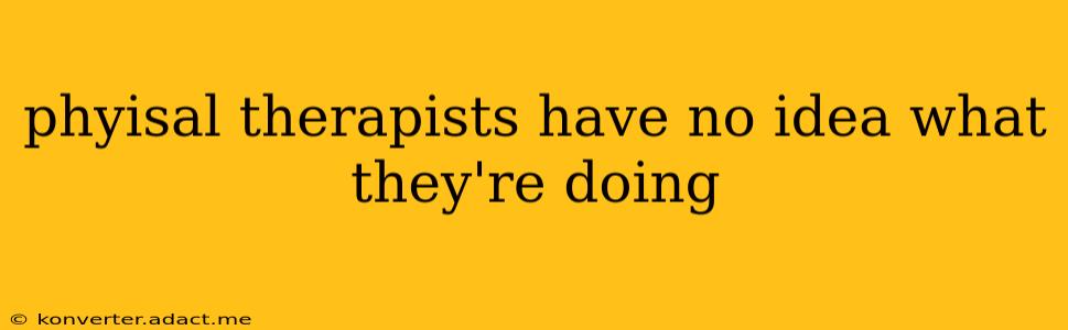 phyisal therapists have no idea what they're doing