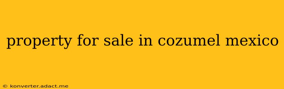 property for sale in cozumel mexico
