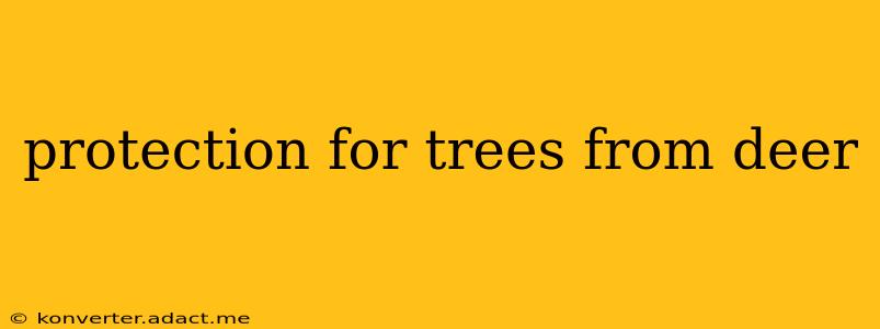 protection for trees from deer