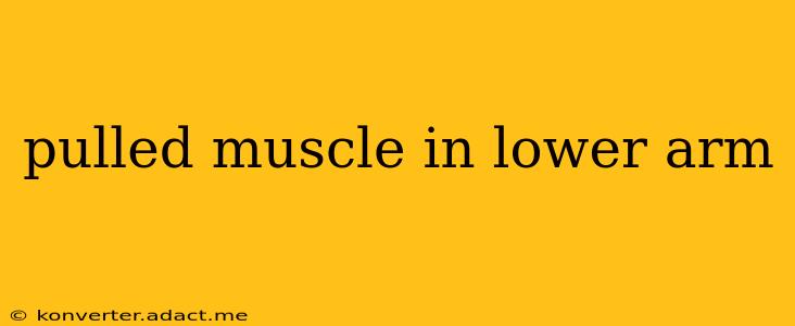 pulled muscle in lower arm