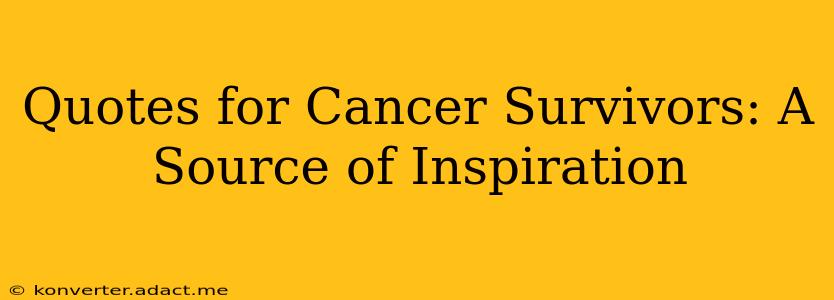 Quotes for Cancer Survivors: A Source of Inspiration