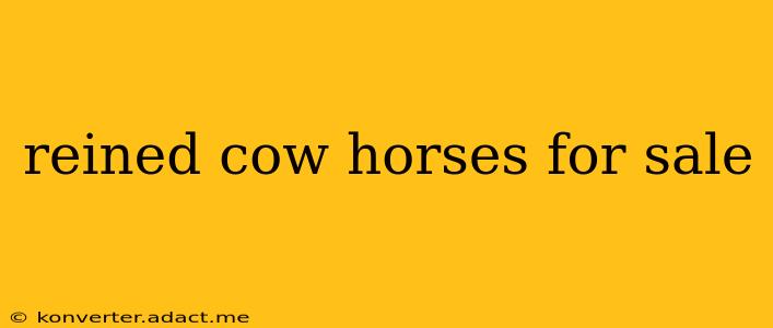 reined cow horses for sale