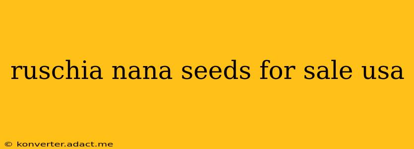 ruschia nana seeds for sale usa
