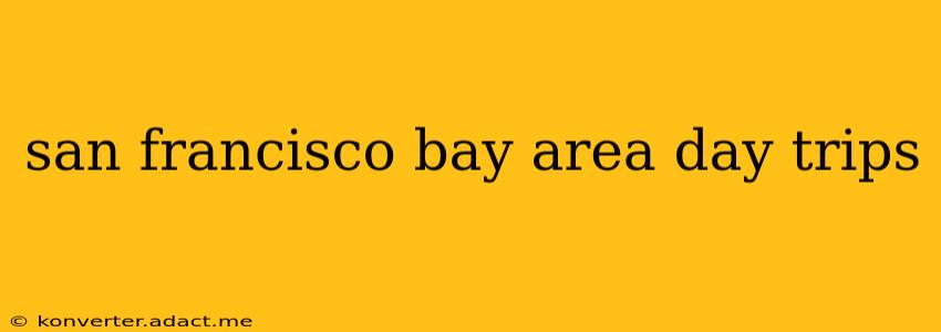 san francisco bay area day trips