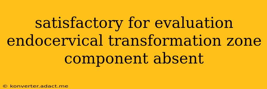 satisfactory for evaluation endocervical transformation zone component absent