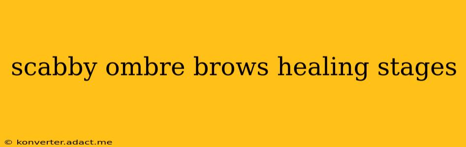 scabby ombre brows healing stages