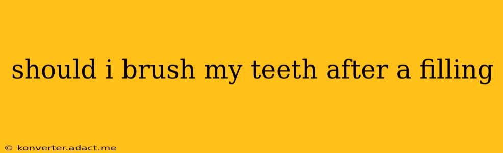 should i brush my teeth after a filling