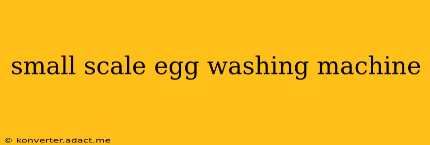small scale egg washing machine