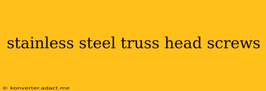 stainless steel truss head screws